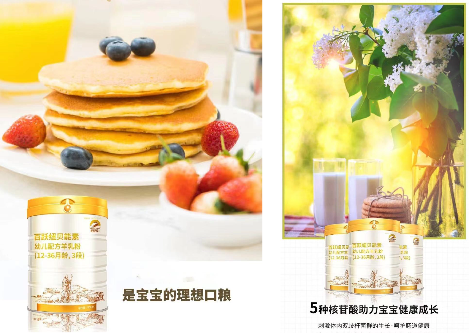 創(chuàng)意奶粉DIY集合