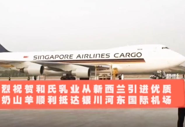 ������I�������m���M���|��ɽ��������_