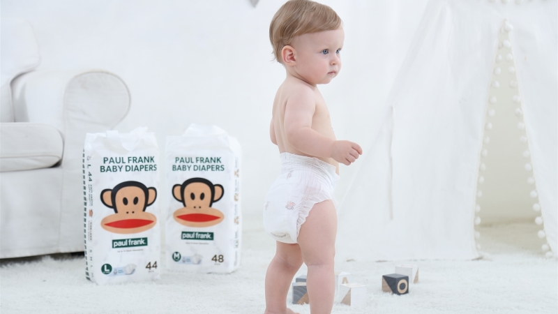 paulfrank������p͸о��ϵ��