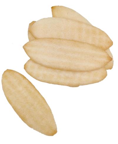 �{ؐ����ˮ�_�����