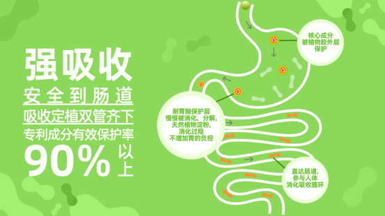 ֲ��3D�����g ����NVQ�����������������_�������M